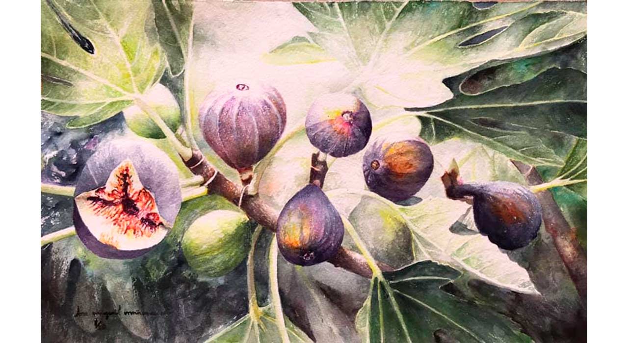 ACU P 2020 FLORES 046