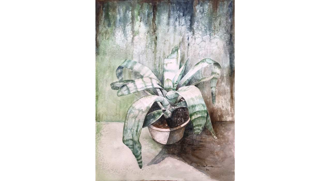 ACU P 2020 GENERAL 046